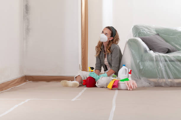 Reliable Black Mold Remediation contractor in Springfield, NJ by Car Mold Remediation